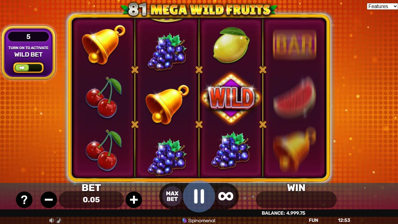 81 Mega Wild Fruitsin peruspeli