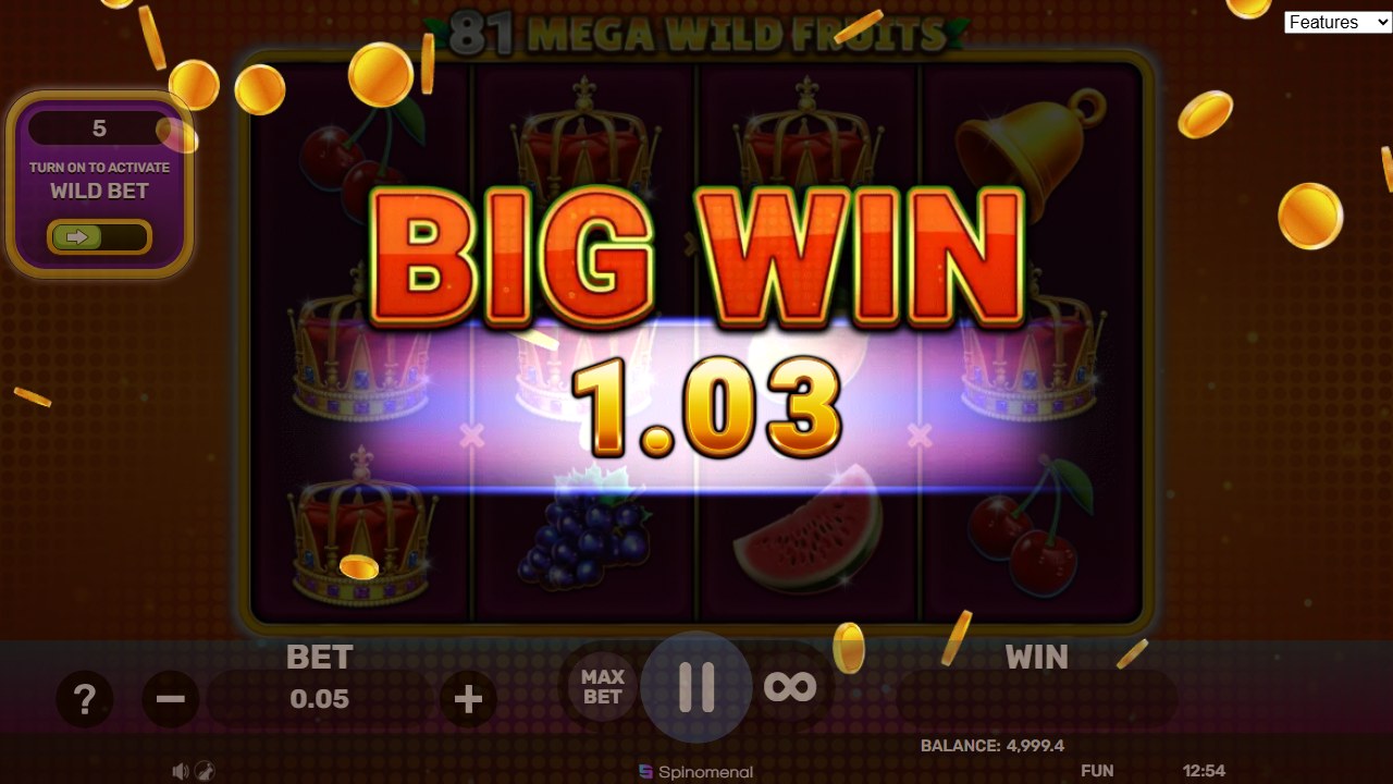 81 Mega Wild Fruitsin BIG WIN